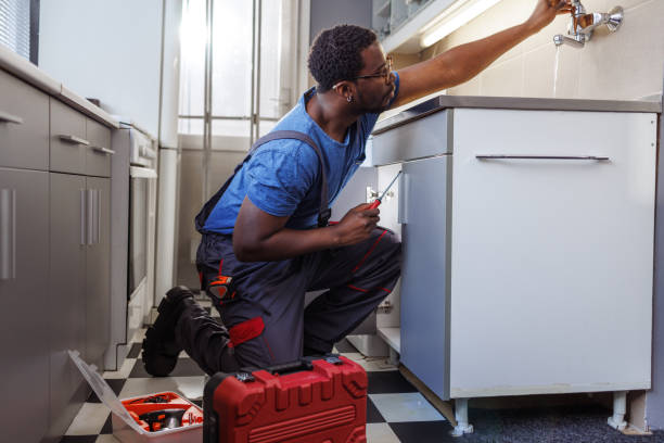 Best Local Plumber Services  in Grant, MN